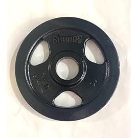 Biggins Machined Cast 2.0 Iron 10Lb Olympic Weight Plate Pair