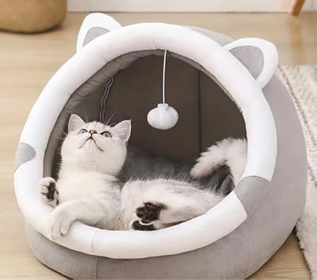 スカイ プロフ必読様専用】 エーハイム(EHEIM) 電動掃除機＋濾材