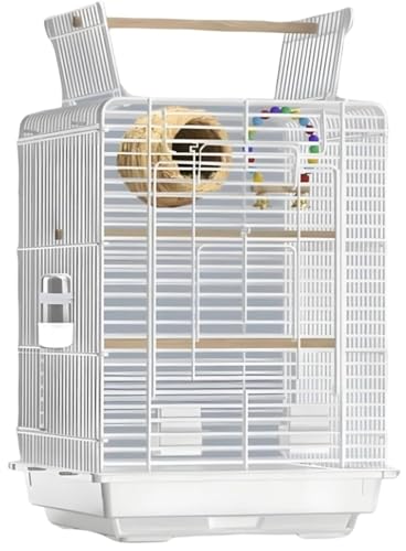  IEP[W I[vgbv  z[ IEP[W I[vgbv  IEP[W z[P[W NXC[P[W NXC[I[vgbvo[hP[W (zCg)