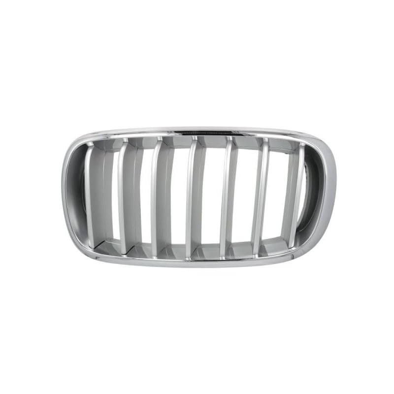 Rejilla de calandra delantero izquierdo cromado/titanio compatible con BMW X5 3 F15 2013-2019