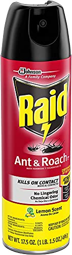 Raid Ant and Roach Killer Lemon Scent #TOP25