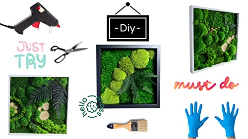 Hello Moss Muschio per fai da te - Set composto da...