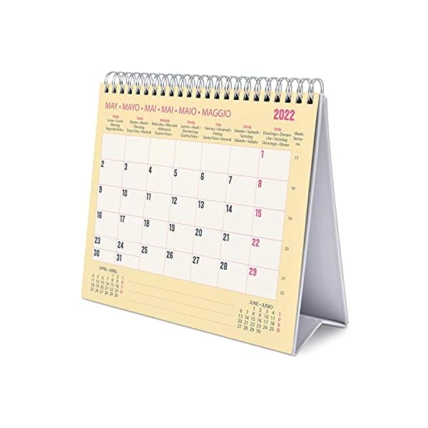 Grupo Erik Tischkalender 2022 - Studio Pets Katze Kalender 2022 Tischkalender - Tischplaner 2022 Planer 2022 – Bild 6
