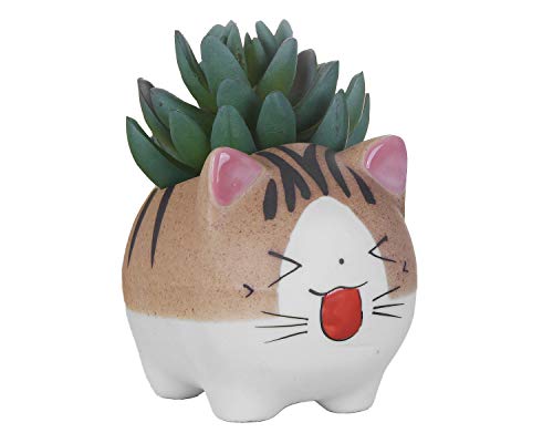 VanEnjoy 4.7 Inch Larger Handmade Cute Cartoon Ceramic Succulent Cat