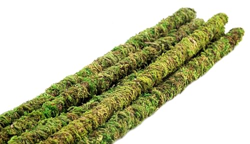 SuperMoss (22051) Moss Stakes Preserved, Fresh Green, 24" (6 pack)