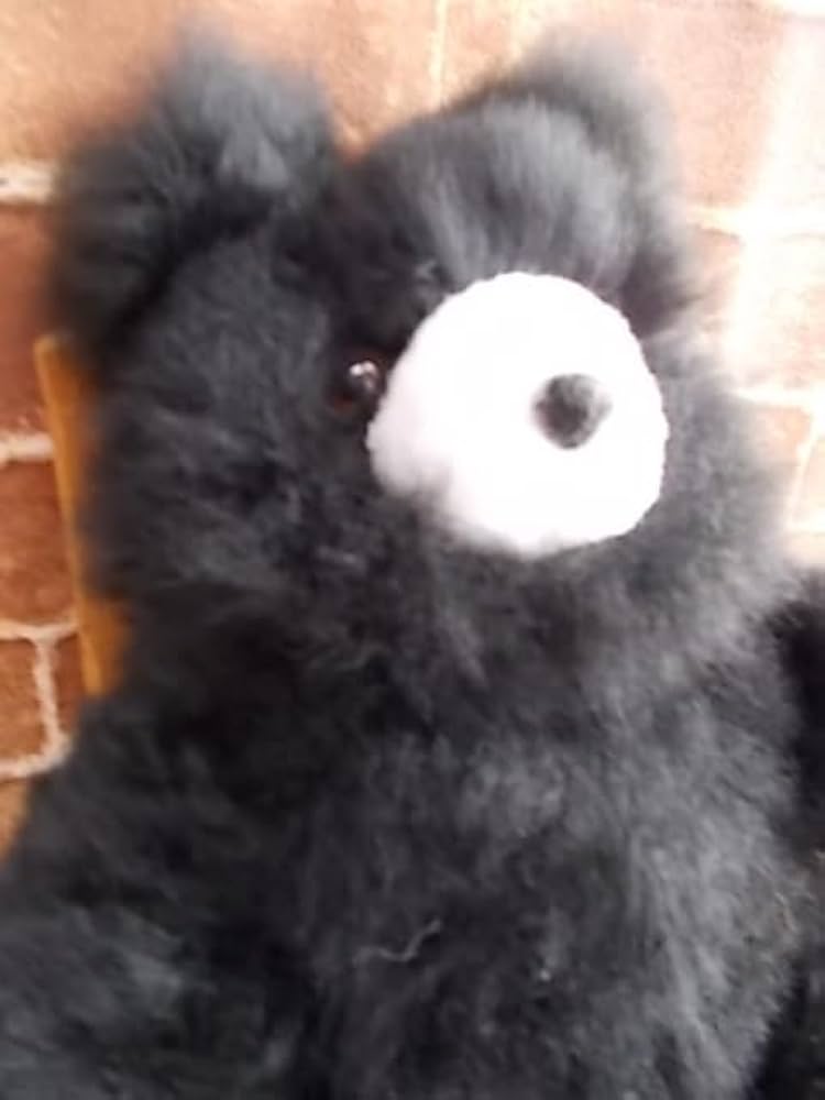 アルパカ テディベア ベビーアルパカ100% L ぬいぐるみ【高品質】 ペルー Amazon.co.jp: 特大 天然色 100% ベビー アルパカ毛 クマ 熊