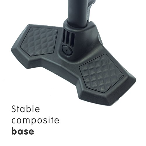 Selle Royal Volturno Premium Bike Floor Pump With Over Black, Medium #TOP7