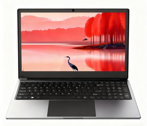 Exilapsire 16 inch Laptop Computer, 8 GB RAM 256GB SSD Storage Laptop PC,with AMD A9 Processor(up to...