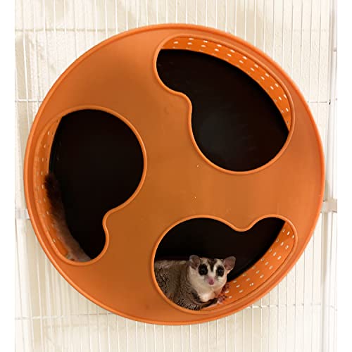 Silent Runner 12" With Autoclean | Sugar Glider Wheel #TOP5