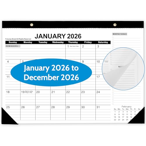 2026NJ_[ - J_[ 2026NA17C` x 12C`ATo-DoXgƃAAItBXXN[B