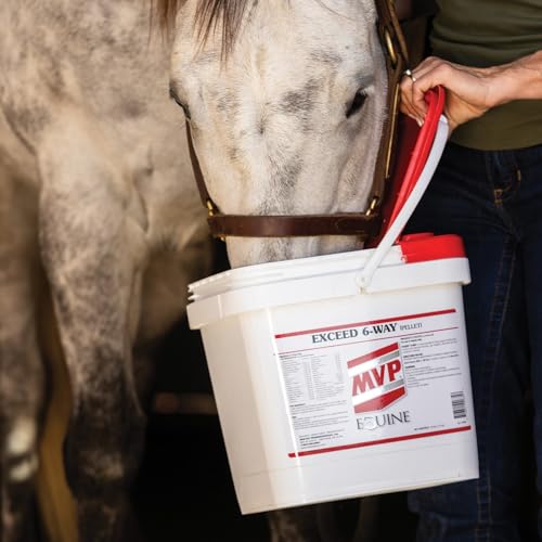 image for MVP Exceed 6-Way High Level Performance Horse Support Pellets. Joint, 
