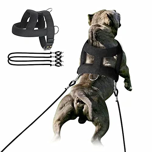 Forestpaw Dog Heavy Duty Harness With Training,Dog Harness Tactical With 3 Mental Rings,Soft Padded Vest For Medium Large Dogs,Black,M #TOP1