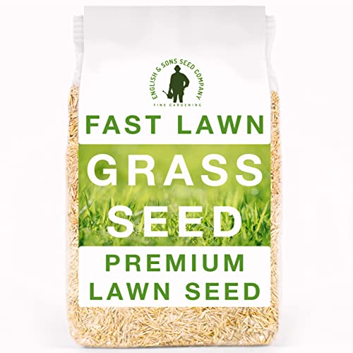 How to Sow Grass Seed