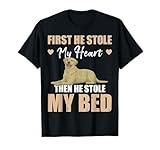 Labrador Retriever Dog for Woman and Girls