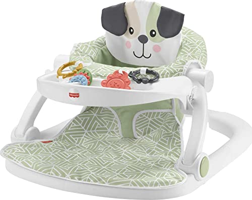 Infant Fisher Price Sit Me Up Chair Crab Producto: Fisher-Price