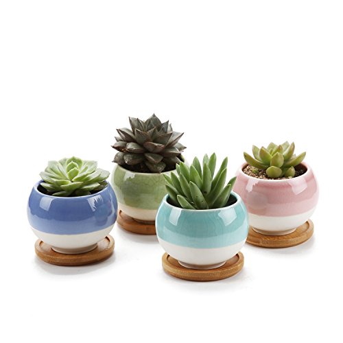 T4U 3 Inch Succulent Planters Pots Ceramic, Ball Shape Drainage Cactus Pots Window Boxes with Bamboo Tray, Set of 4