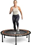 FIT BOUNCE PRO II Bungee Rebounder Mini Trampoline | Already Assembled | Half Folding, Silent & Beautifully Designed for Adults | Includes Storage Bag | Free Online Workouts