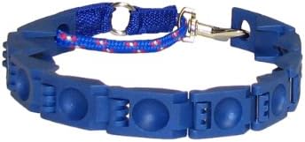 perfect dog training collar