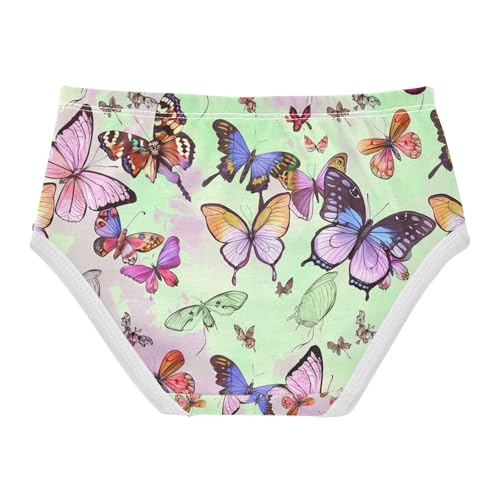 Colorful Butterfly Toddler Girls's Underwear 2T 202c11502