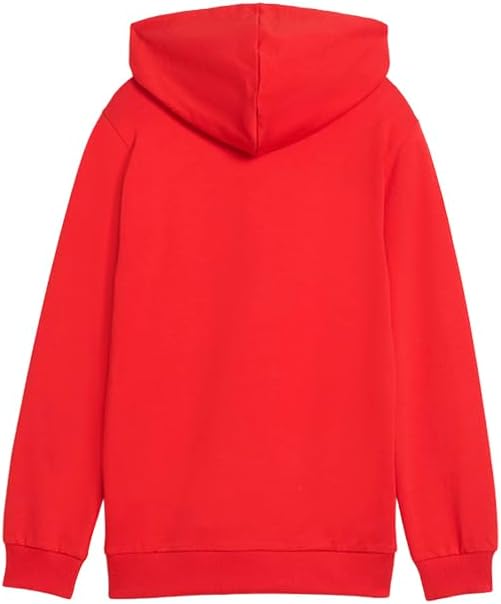 PUMA Kids Boys Teamgoal Casuals Hoodie Casual Outerwear Casual - Red