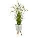 5ft. Wheat Grain Artificial Plant in White Planter with Legs