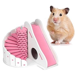 Petyoung Huisdier Kooi Kleurrijke Hamster Slapen Huis Ecologische Board Met Ronde Slide Dierbenodigdheden