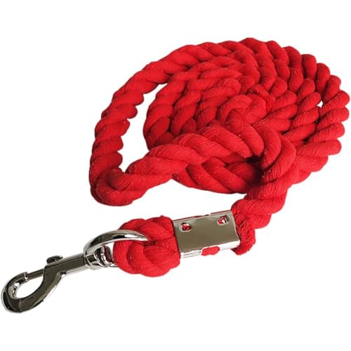 Corde de plomb de cheval sangle tressée accessoire licol durable