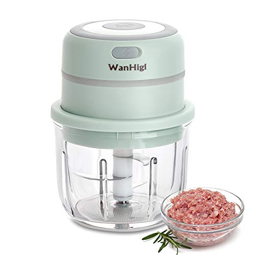 Best Mini Food Processor By Consumer Reports 10Reviewz