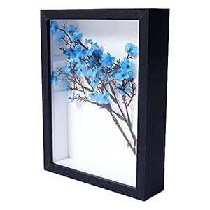 KAPIX Shadow Box Bilderrahmen 20,3 x 25,4 cm