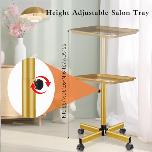 Image of Salon Senor Salon Tray on Wheels Tattoo Rolling Tray Salon Service Cart Height Adjustble Hair Service Color Tray Gold