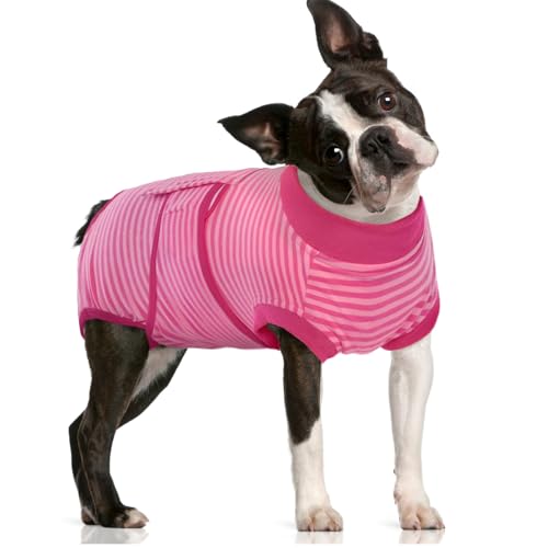 Image of FUAMEY Recovery Suit for Dogs After Surgery,Soft Breathable Dog Bodysuit E-Collar & Cone Alternative Surgical Suit,Male Female Dog Neuter Spay Suits Anti Licking Wounds Onesie Rose Stripes M