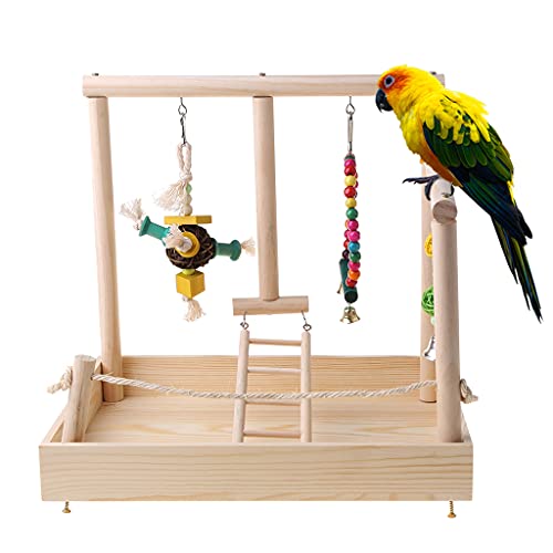 Jouets pour perroquets et perchoir à oiseaux échelle pour conure