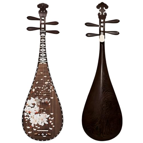 琵琶 楽器」の人気商品一覧 | 安い商品を通販サイトから探す - 価格.com