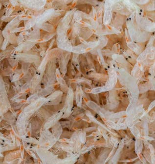 Chinese Natural Dried seafood baby/samll shrimp For Food (250g)