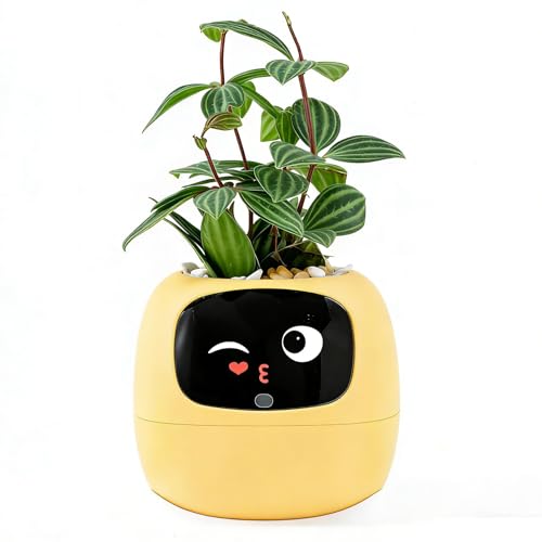 Vaso de Flores Inteligente com Conexão por App e Tela LCD