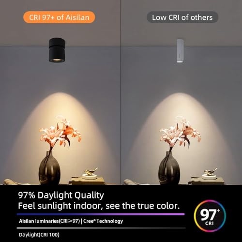 Image of Aisilan LED Ceiling Spot Light Indoor Dimmable 2 Pack, 7W Black Directional Accent Light, Adjustable Modern Spotlight Flush Mount, Warm White CRI 97, for Living Room Bedroom