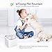 isYoung Pet Fountain, 84oz/2.5L Super Quiet Automatic Cat Water Fountain Dog Water Dispenser with 5 Replacement Filters and Cleaning Brushes for Cats, Dogs, Multiple Pets