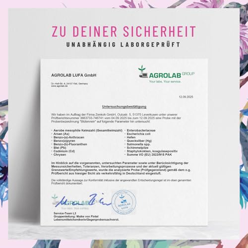 Blütenrein Mariendistel Artischocke Löwenzahn Kapseln - Leber Komplex mit Cholin für die normale Funktion der Leber - Mariendistel Hochdosiert 80% Silymarin 200 mg - 120 Kapseln - 4 fach Komplex