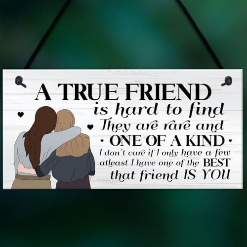 Signs Plaques TRUE FRIEND Friendship Gift For Best Friend Gift For Her House Decor - Afbeelding 6