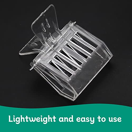 Abustle pig Pacote com 6 clipes apanhadores de gaiola de abelha rainha de plástico transparente kit