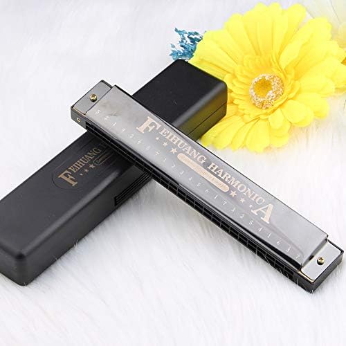 Harmonica for Beginners,C Key 24 Holes Major Diatonic Double Tremolo Harmonicas with Case for Kids (Black)