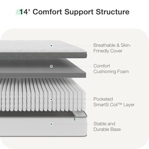 Image of Novilla Hybrid Mattress Queen Size, 14 Inch Plush Mattress in a Box|Back Support & Pressure Relief, Supportive Comfort Foam, Pocketed Innersprings, CertiPUR-US Certified, Guest & Dorm