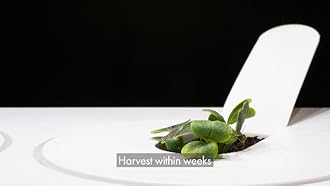 Click & Grow Smart Garden, Indoor Herb Garden Growing Kit with 3 Basil Pods Included, Self Watering & LED Grow Light, Simplified Hydroponics Growing System, White