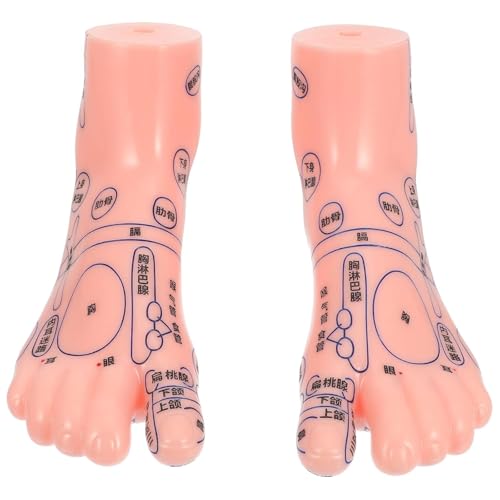 Modèle de pied humain pour acupuncture et réflexologie plantaire