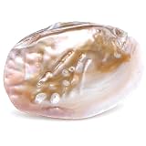 Budawi® - Cuenco de nácar con forma de concha de nácar, cuenco decorativo para joyas, cuenco para incienso, pieza única de nácar, parte con perlas