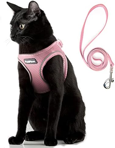 PetiFine Extra Small Step in Dog Harness and Leash Set, Cat Harness and Leash Escape Proof, All Weather Mesh Reflective, Step-in Air Vest Harnesses for Puppy(XXS, Pink)