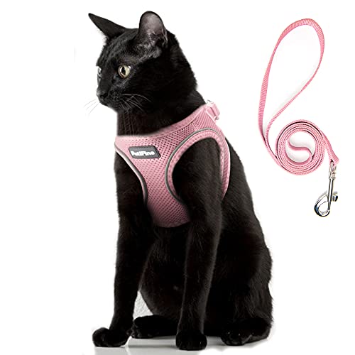 PetiFine Extra Small Step in Dog Harness and Leash Set, Cat Harness and Leash Escape Proof, All Weather Mesh Reflective, Step-in Air Vest Harnesses fo
