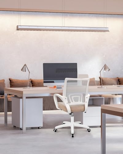 chair office