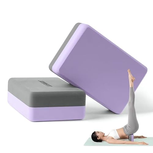 IWORKOUT Yoga Blocks 2 Pack, High Density 23 x 15 x 8 cm , EVA Yoga Bricks (Set of 2 ), Lightweight Fitness Foam Bricks, Anti-Slip,Soft, for Yoga,Pilates,Gym Practice,Flexibility,Backbends,Improve Balance (Grey + Purple, 2 PCS)