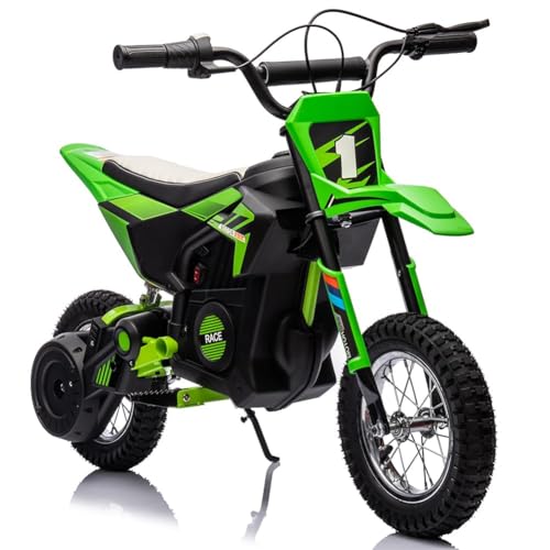 Kids Electric Dirt Bike, 24v Off-Road Motorcycle with 250w Motor